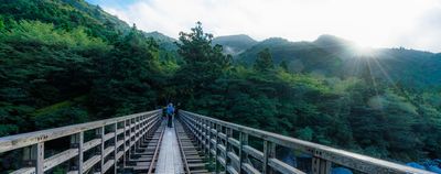 屋久島